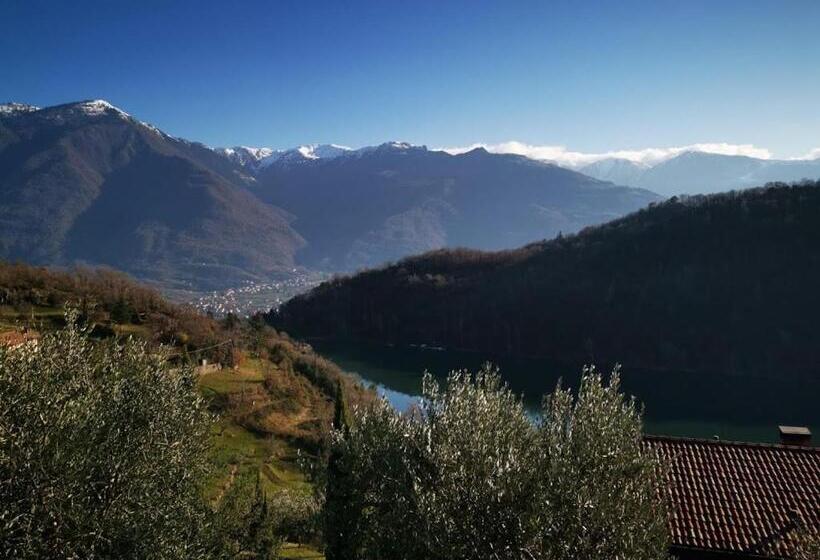 ホテル Agriturismo Il Moro