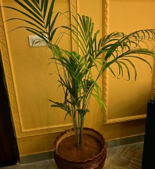 Hotel Aijasvan Resort