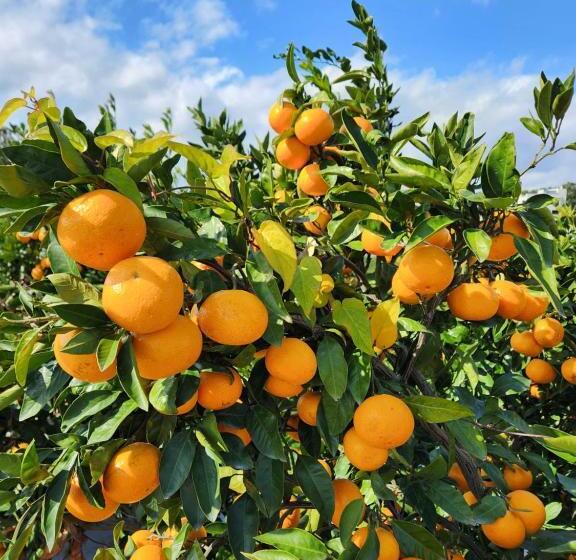 Hotel 글라글라펜션gllaglla