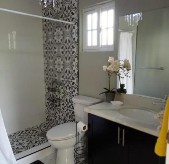 پانسیون Sashamani Ville