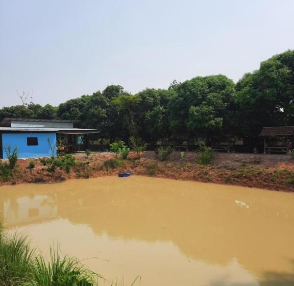 פנסיון Vanessa Guest House