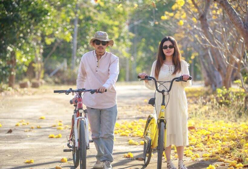 Bed and Breakfast พรพนาฮิลล์รีสอร์ท