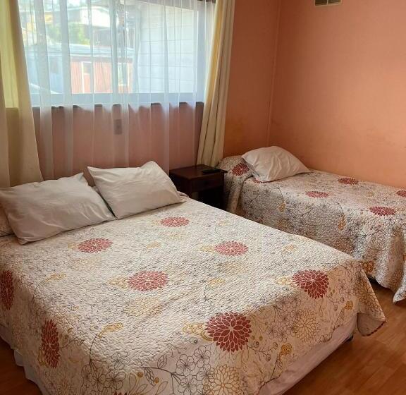 تختخواب و صبحانه Altos De Miramar