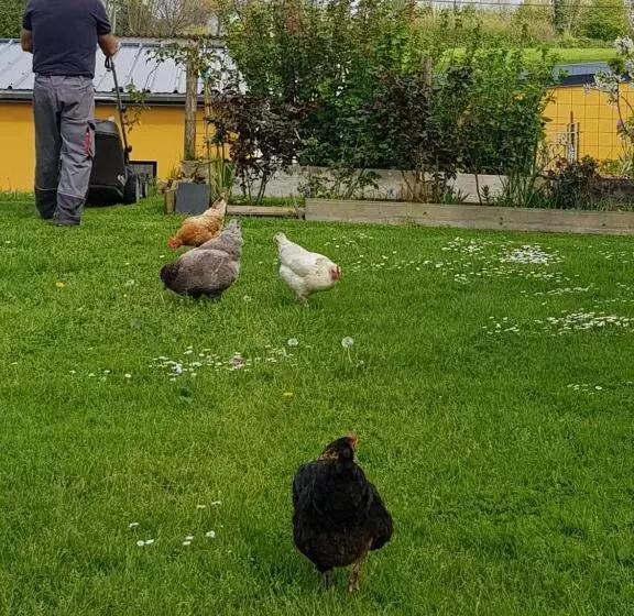 Aamiaismajoitus (B&B) Le Jardin