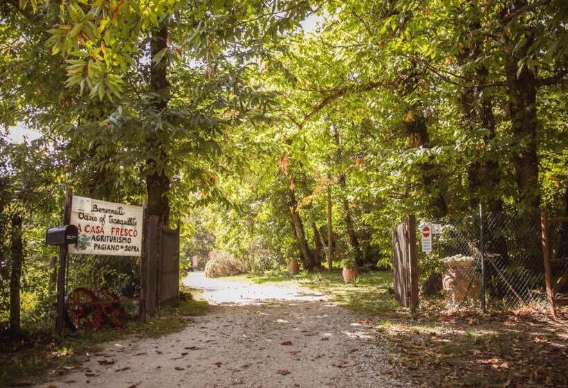 בית מלון כפרי Nature & Relax In Tuscany   Fresco 4