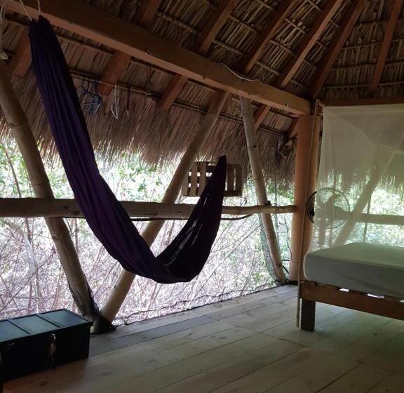 ペンション Eco Hostal Tonatiuh