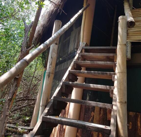 ペンション Eco Hostal Tonatiuh