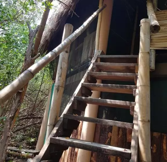 Majatalo Eco Hostal Tonatiuh