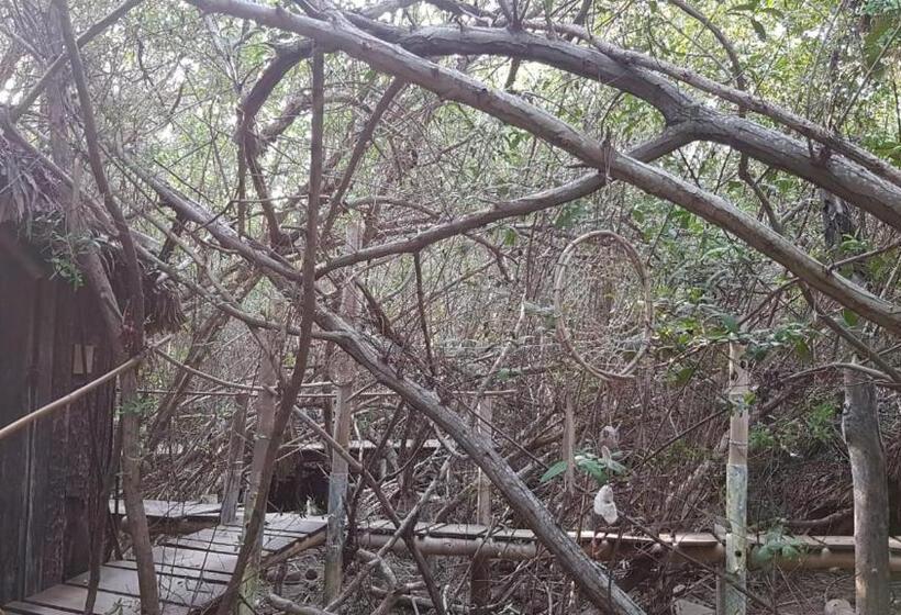 ペンション Eco Hostal Tonatiuh