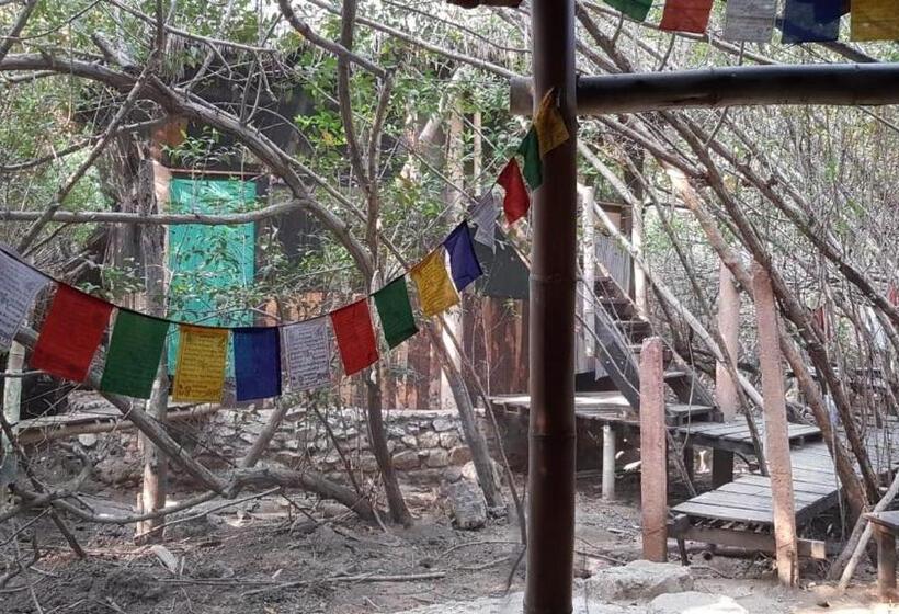 ペンション Eco Hostal Tonatiuh