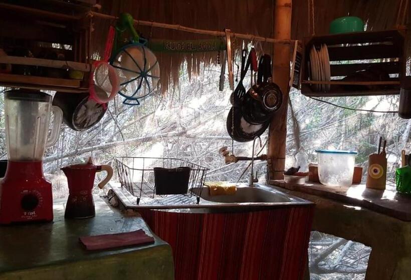 ペンション Eco Hostal Tonatiuh