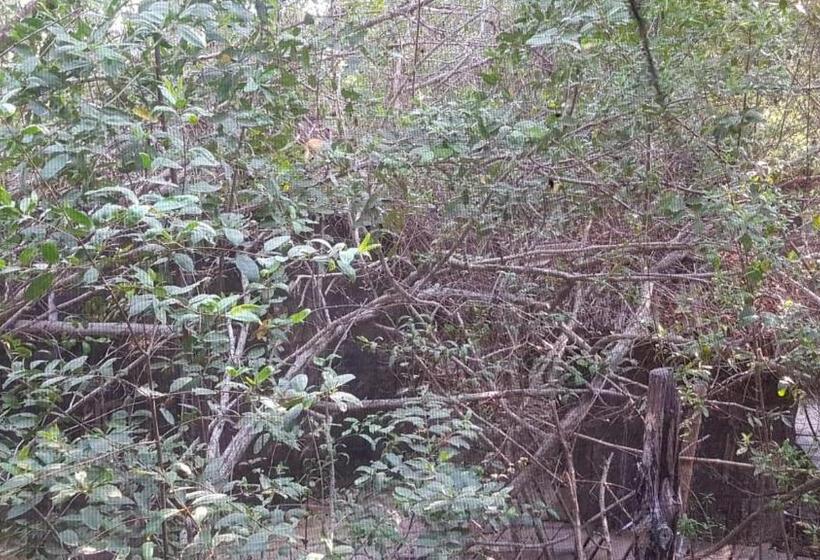 ペンション Eco Hostal Tonatiuh