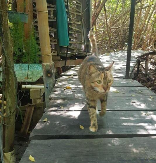 ペンション Eco Hostal Tonatiuh