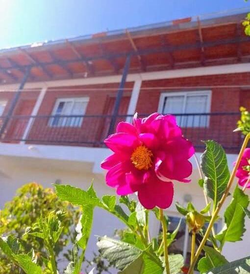 Pension Hospedaje Las Dalias