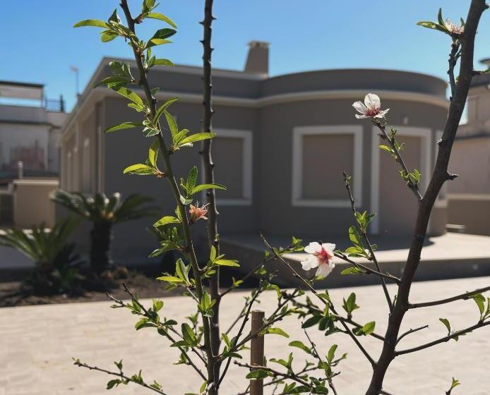 تختخواب و صبحانه Alloggio Turistico Soffiasale