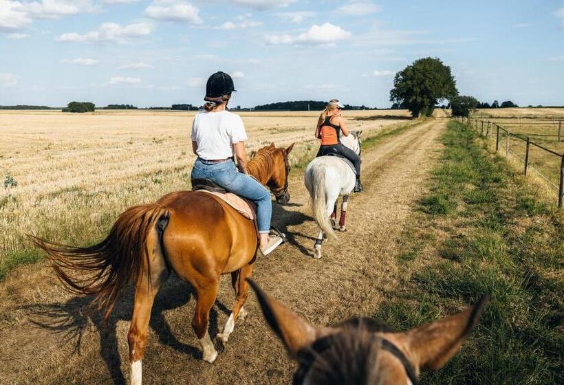 住宿加早餐  La Chevauchée Vers Les étoiles