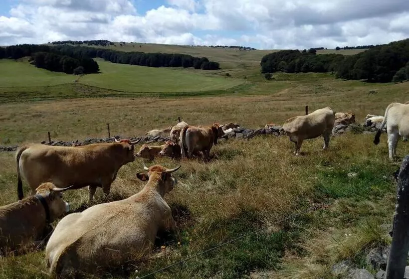 Aamiaismajoitus (B&B) Les Terrasses Du Verger