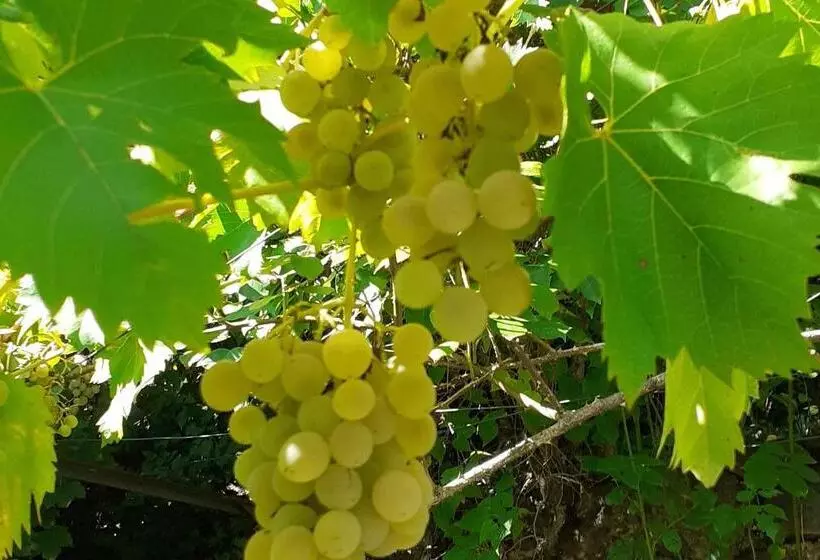 Aamiaismajoitus (B&B) Les Terrasses Du Verger