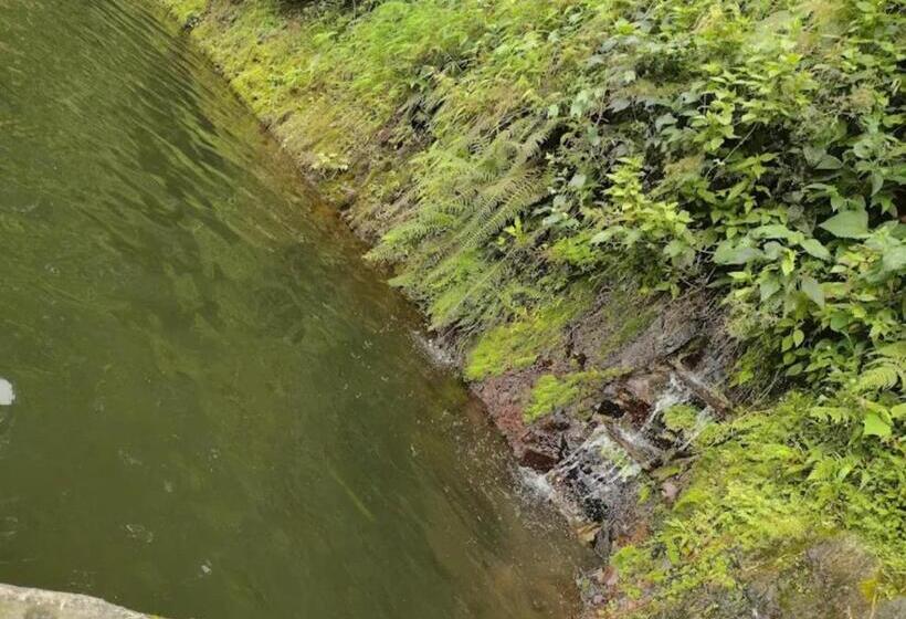 민박 Refugio En La Montaña