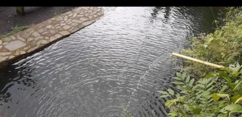 민박 Refugio En La Montaña