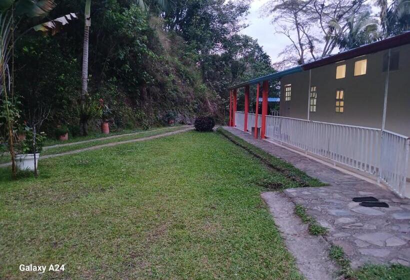 민박 Refugio En La Montaña