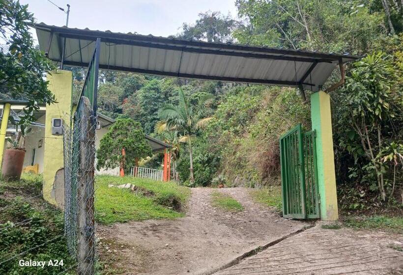 민박 Refugio En La Montaña