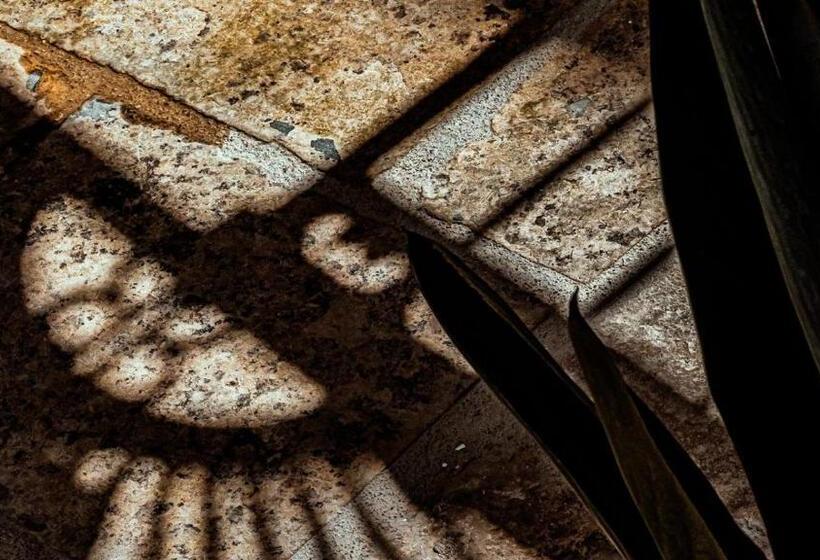 Bed and Breakfast Ricci Rooms   Deluxe Suite By Salentoaffitti