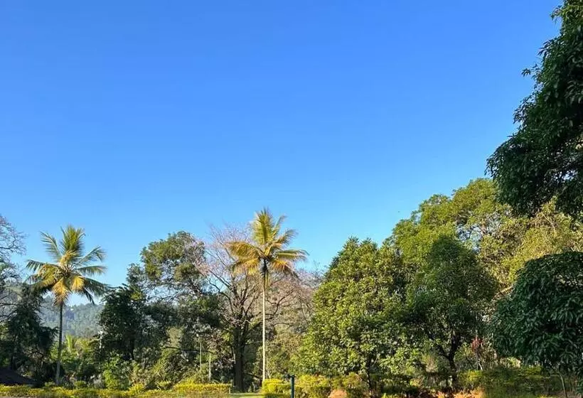 ホテル Kothmale Holiday Resort