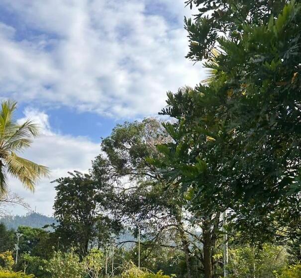 酒店 Kothmale Holiday Resort