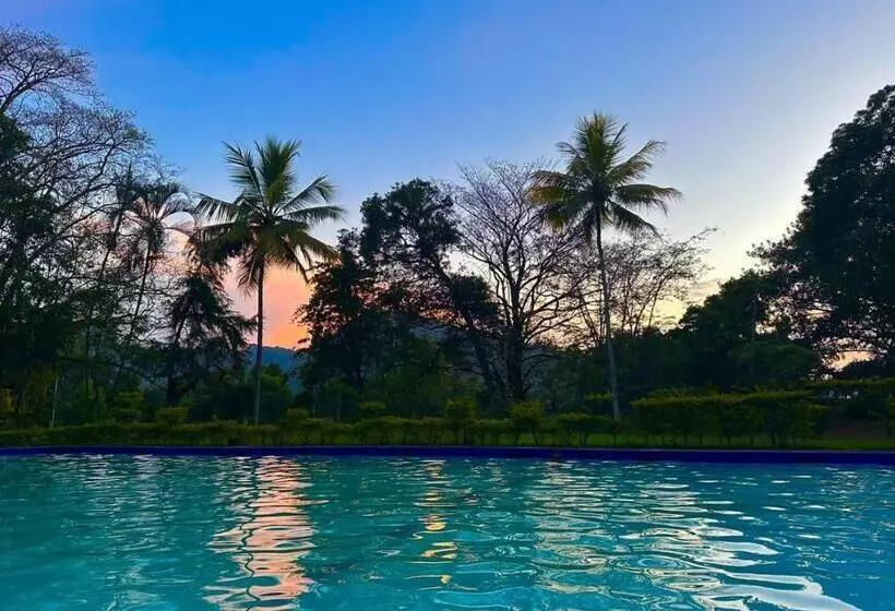ホテル Kothmale Holiday Resort