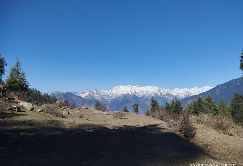 Pension Tirthan View Homestay