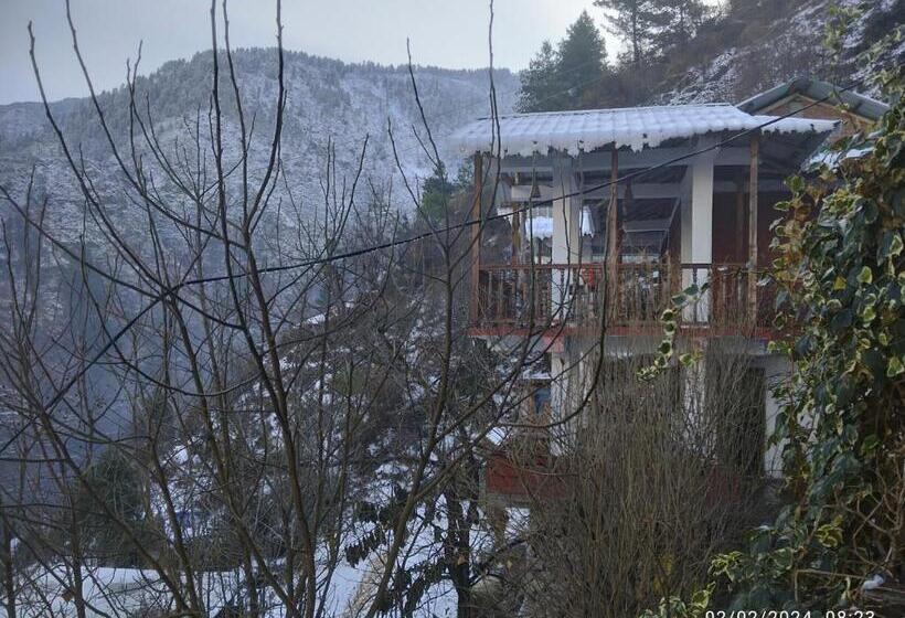 Pension Tirthan View Homestay