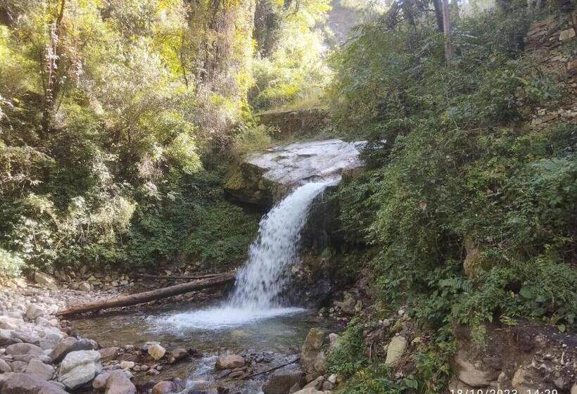 Pension Tirthan View Homestay