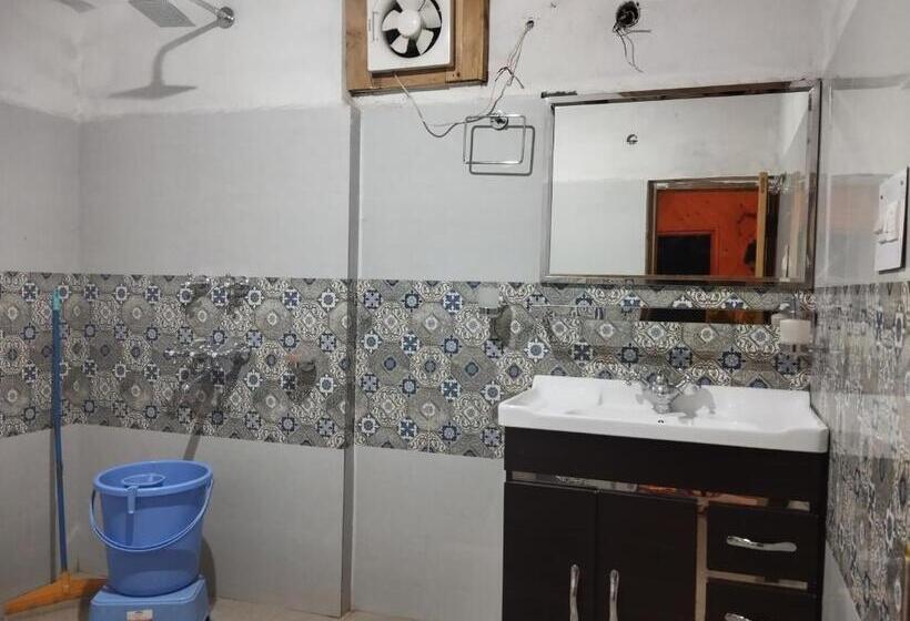 Pension Tirthan View Homestay