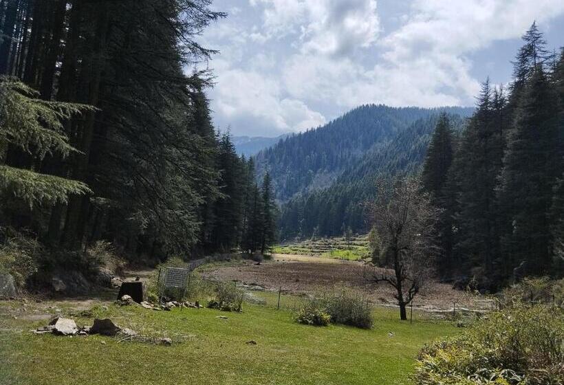 Pension Tirthan View Homestay