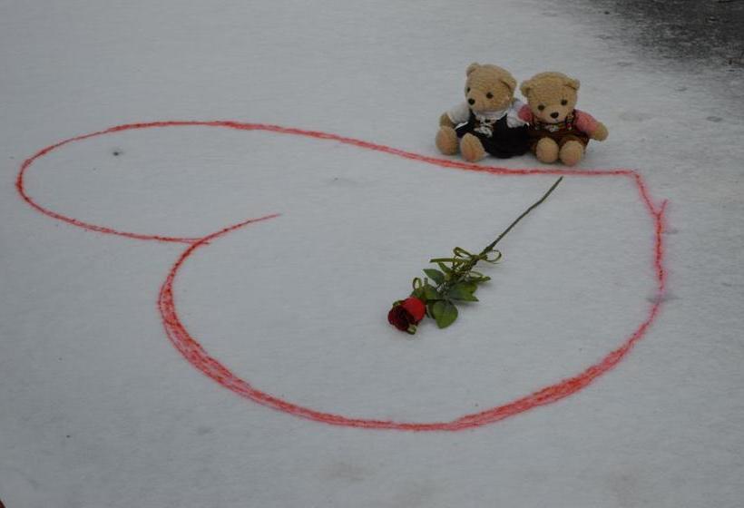 Bed and Breakfast Il Pesciolino D Oro