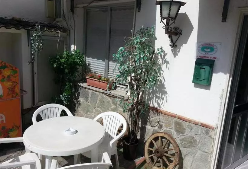 Aamiaismajoitus (B&B) Il Pesciolino D Oro