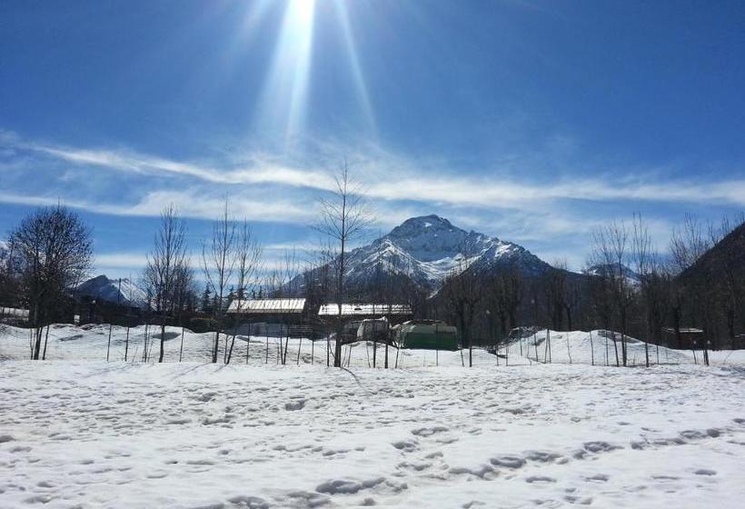 Bed and Breakfast Il Pesciolino D Oro