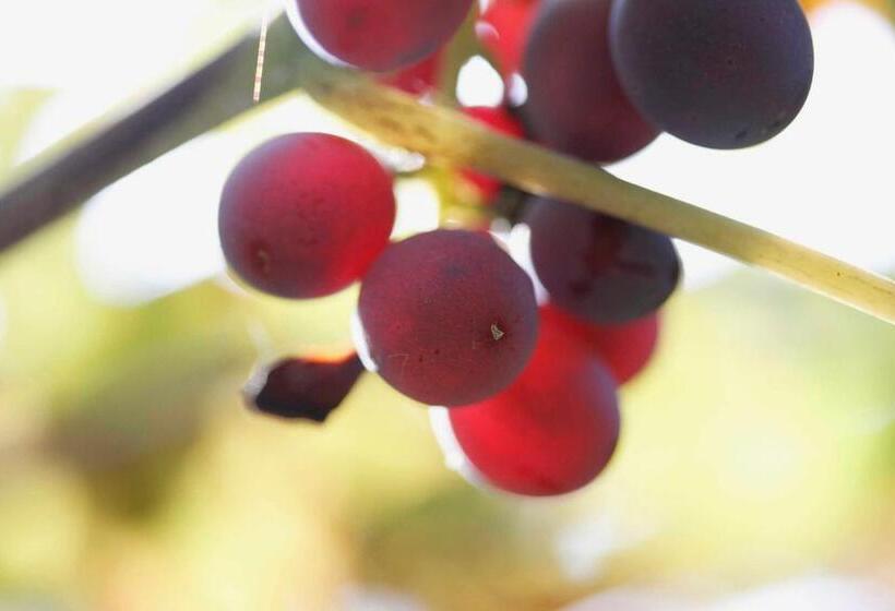 Bed and Breakfast Locanda Da Bepi