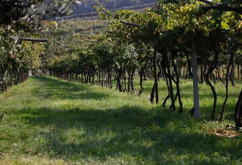 Aamiaismajoitus (B&B) Locanda Da Bepi