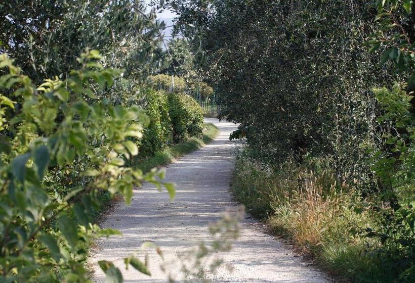 Bed and Breakfast Locanda Da Bepi