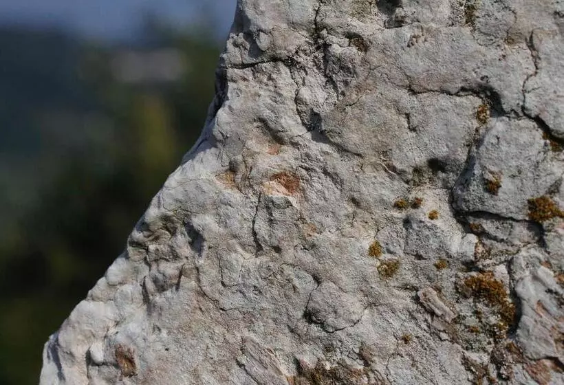 Aamiaismajoitus (B&B) Locanda Da Bepi