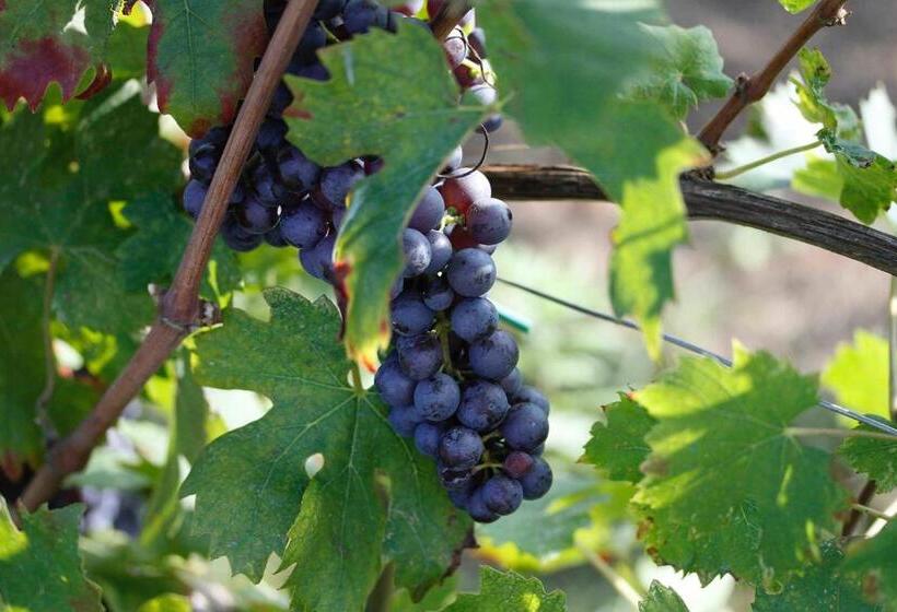 Bed and Breakfast Locanda Da Bepi