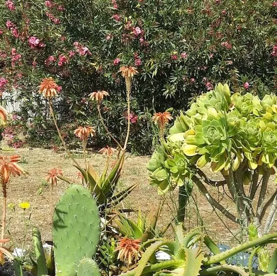 تختخواب و صبحانه Villa Agnese