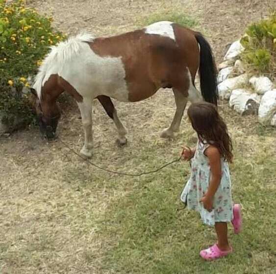 צימר Villa Agnese