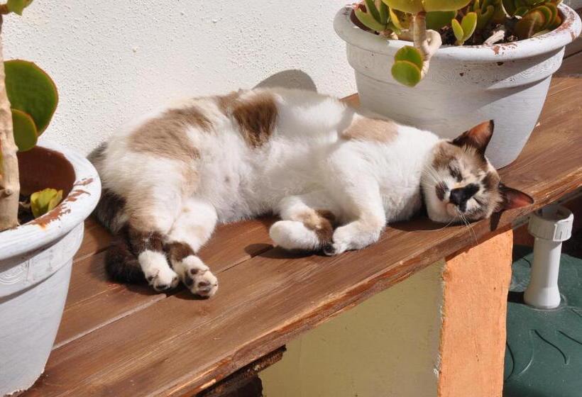 צימר Villa Agnese