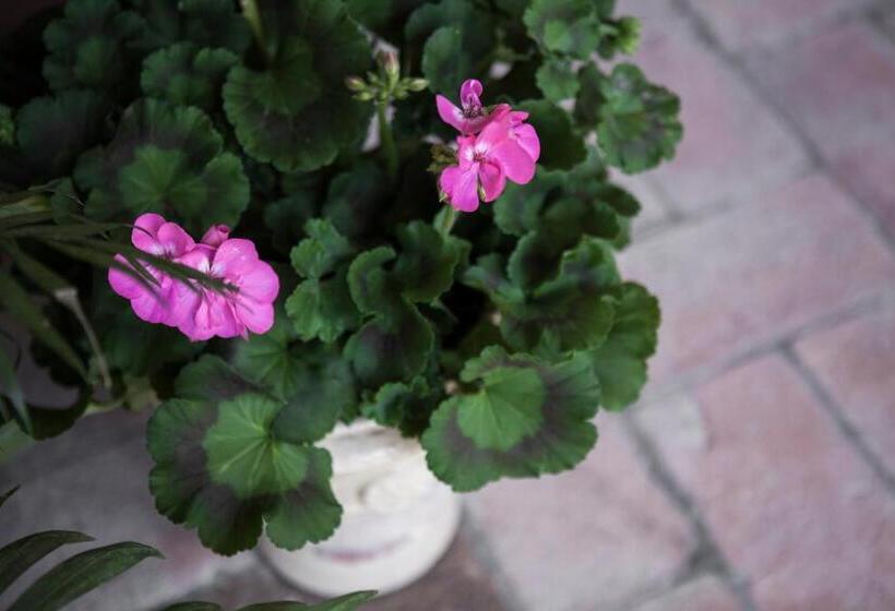 تختخواب و صبحانه Villino Di Porporano