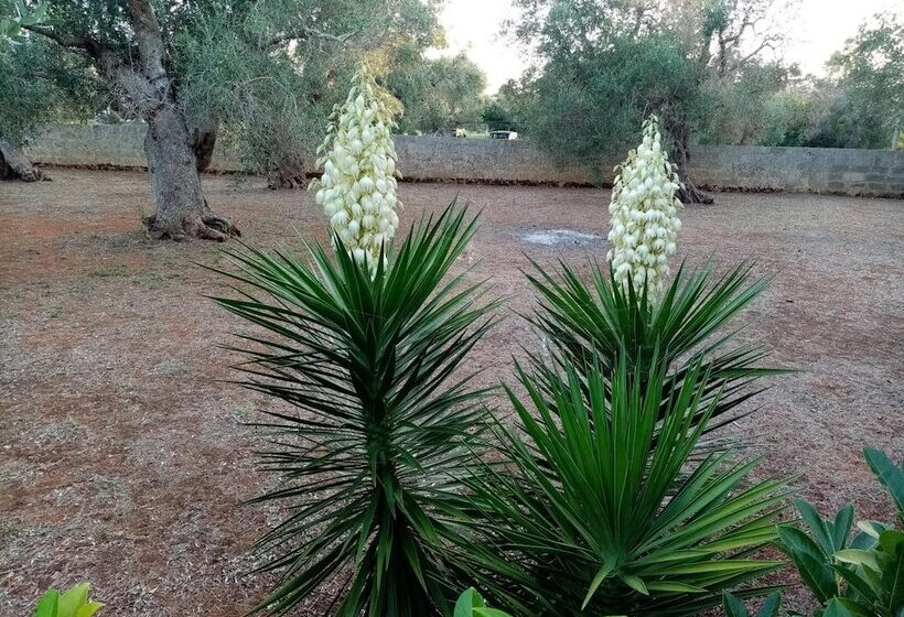 Contrada Macchia B&b