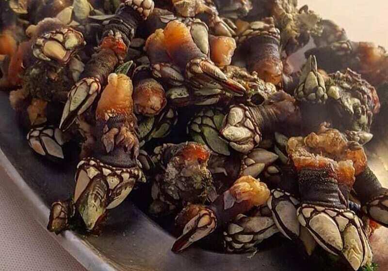 בית מלון כפרי Albergo Ristorante Castello