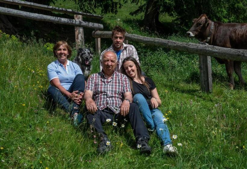 Отель Chalet Genziana